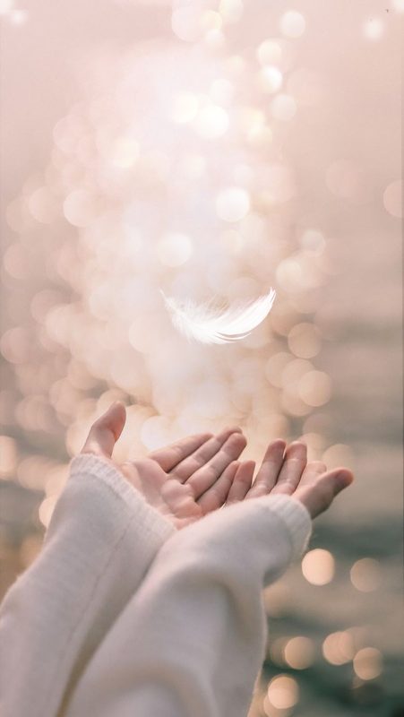 Comp_28e68523aeeb5a3530d2a9908ef52b54_d copy (1)